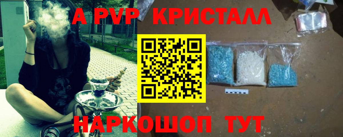 Alfa_PVP СК КРИС Петропавловск-Камчатский