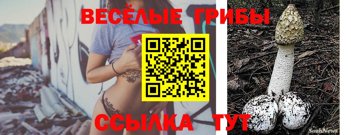 Псилоцибиновые грибы мицелий  Вход с VPN  Петропавловск-Камчатский 